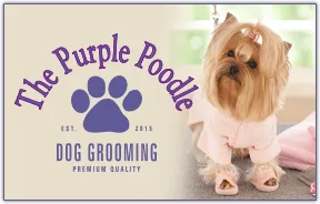 The Purple Poodle Dog Grooming