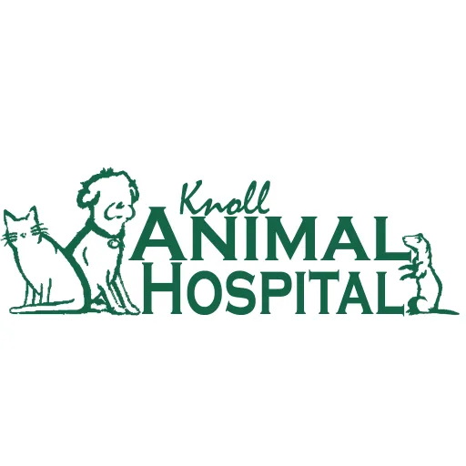 Vet Clinic in Carol Stream & Glen Ellyn, IL | Knoll Animal Hospital